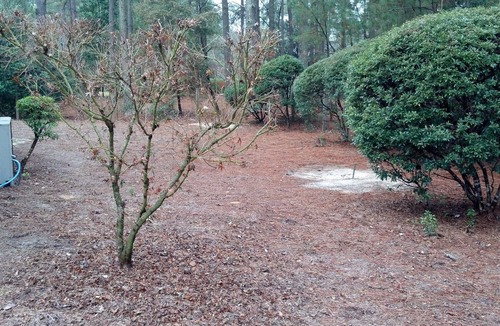 Pinehurst House | 4BR/4BA Better Known as Hackers Hideaway - Sleeps up to 8 people