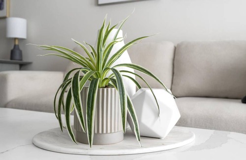 Concord Apartment | 65 m² Apartment ∙ 1 bedroom ∙ 2 guests