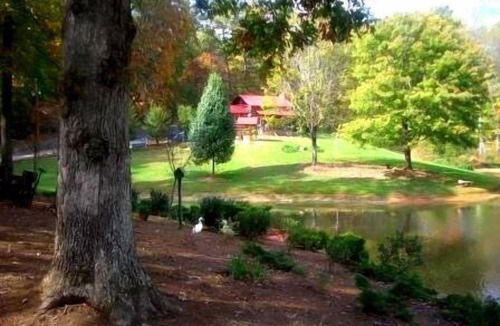 Elkin Cabin | A authenic early American cabin located on a 85 acre farm in NC Foothills.