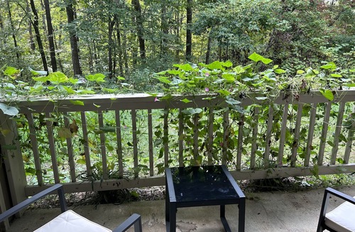 Woodcroft Apartment | A cozy well furnished centrally located condo