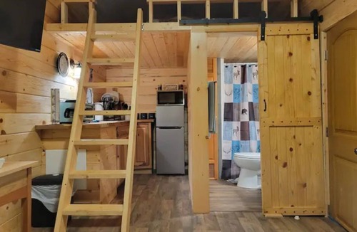 Candler Cabin | A delightful tiny home that is perfect for 2 but can sleep 4, pet friendly.