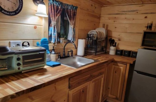 Candler Cabin | A delightful tiny home that is perfect for 2 but can sleep 4, pet friendly.