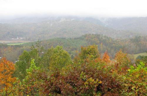 Franklin House | A Little Slice of Smokey Mountain Heaven with Wifi