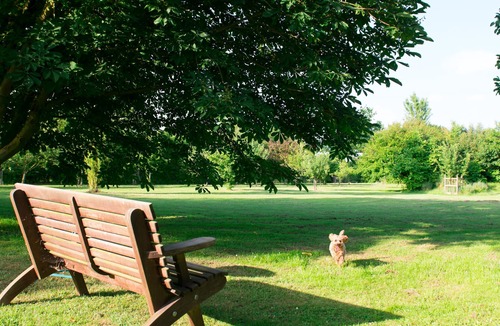 Sudbury Cottage | A romantic little Farm cottage with a roaring fire. Ideal for dog owners.
