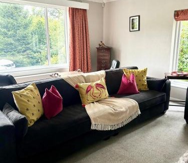 Newby Bridge House | Alloa
