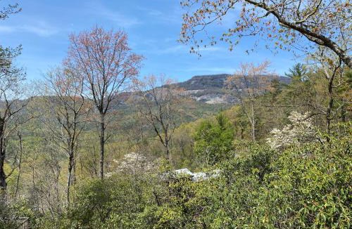 Cashiers Apartment | Amazing Mountain Views with Private Hot Tub!