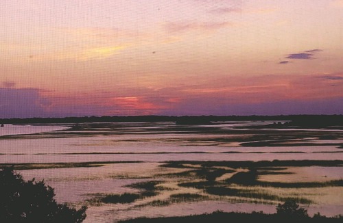 Folly Beach Condo | Amazing Sunset Views of Folly River! Close to Folly Beach & Downtown Charleston.
