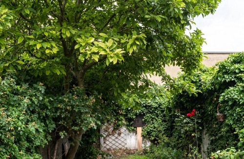 Broad Green House | Architect-designed 2-bed home