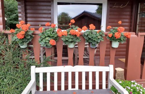 Benmore House | Ard Darach Lodge