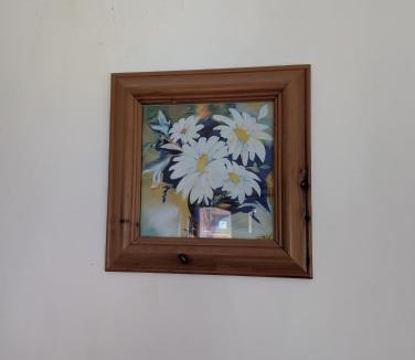Marchmont Hostel | Argyle Backpackers