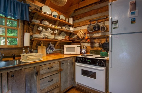 Pisgah Forest Cabin | Aunt Babbies Cabin | 1 Bed, 1 Bath