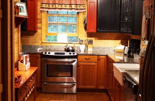 Lake Sequoyah Cabin | Authentic Highlands Log Cabin with Dock, Canoe + Fire Pit