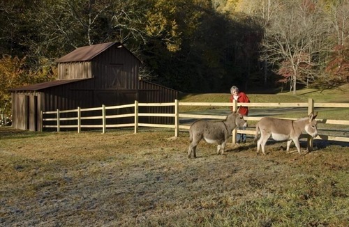 Andrews House | Awesome Cottage, Views, Waterfalls, Cute animals, streams, privacy, easy access