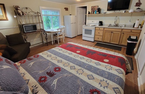Qualla Cabin | *Baby Bear* Bear-A-Dice CABIN Hot tub, firepit, BBQ hiking trails near Cassino