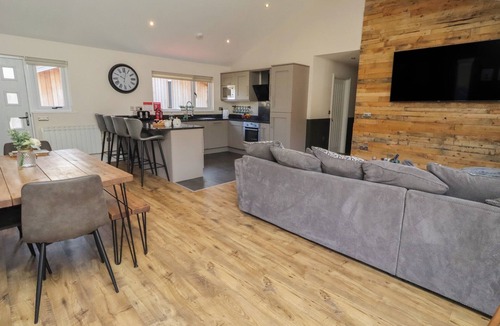 Gosforth Cottage | Barn Owl