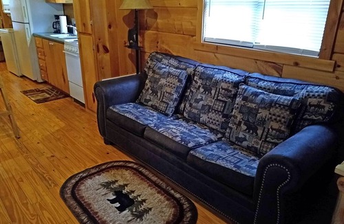 Franklin Cabin | Bear Cabin - 2 Bedroom/1 Bath Vacation Rental