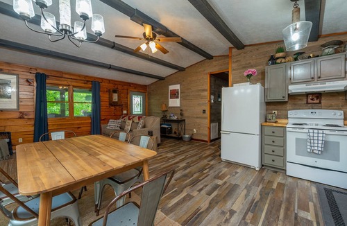 Waynesville Cabin | Bear's Den!