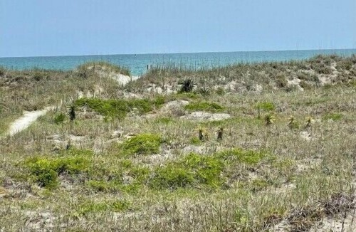 Topsail Beach House | Beatrice's Bungalow - Topsail Beach