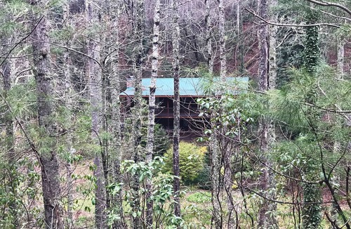 Robbinsville House | Beautiful Large 4 Bdrm Mountain Home w/Pond, Creek, WIFI, Sleeps 8, NEW Parking