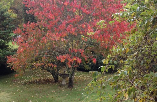 Green Mountain House | Beautiful Retreat (2night min.) - 33 Private Mountain Acres to Hike
