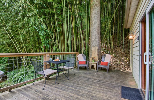 Skyland Cabin | Beautiful Waterside Cabin (2), Great Location, View, 8 Min To Downtown, Biltmore