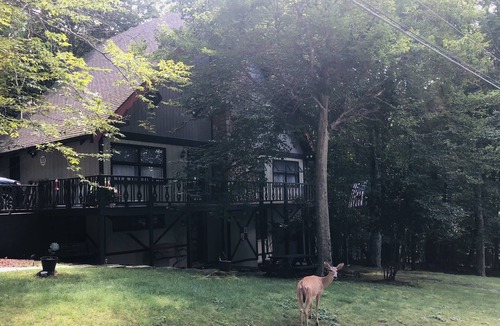 Charter Hills House | Beech Gem PRIVATE GUEST SUITE nestled on Beech