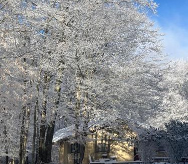 Beech Mountain House | Beech Mountain Swiss-style Chalet
