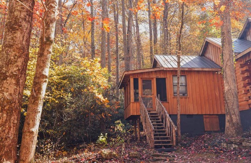Saluda Cabin | Bird's Nest cabin at Cabin Fever in NC!