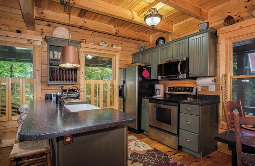 Penrose Cabin | Black Bear Lodge near Dupont State Forest