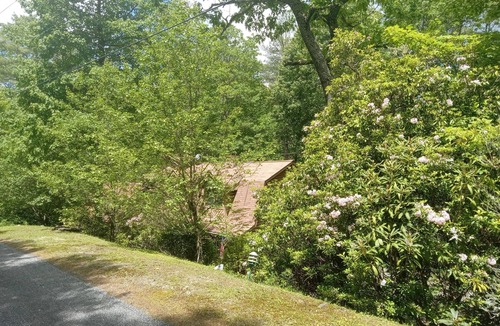 Glenville Cabin | BlackBeary Hideaway For Fun