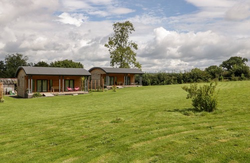 Shepton Mallet House | Bluebell