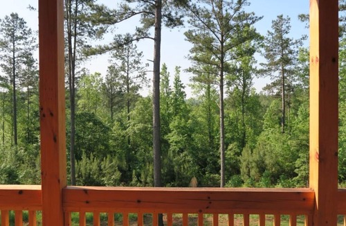 Connellys Springs House | Book now for a spring or summer trip