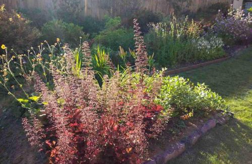 Tiverton Bed & Breakfast | Brambles Bed and Breakfast