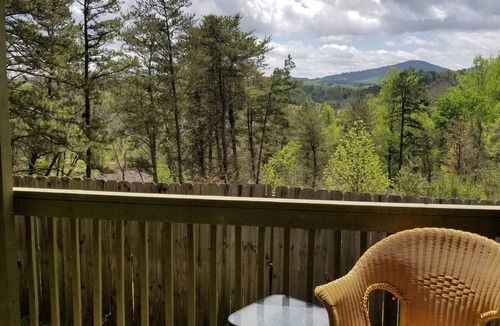 Alexander House | Brand new refresh! Comfy & fabulous views! Near Asheville and Weaverville.