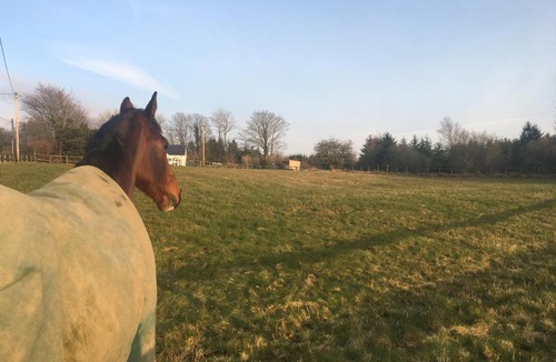 Devils Bridge Other | Brynllwyd Glamping