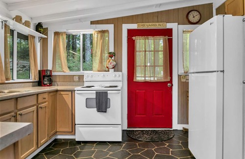 Brevard Cabin | Buck's Cabin near Brevard, NC Dog Friendly Wood stove, mtn views in forest.