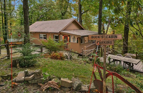 Brevard Cabin | Buck's Cabin near Brevard, NC Dog Friendly Wood stove, mtn views in forest.