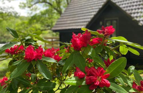 Spean Bridge Cabin | Burnbank Lodges