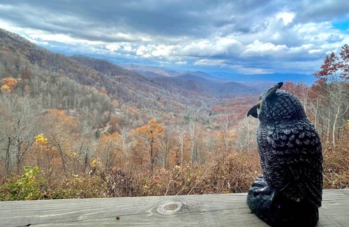 Bryson City Cabin | Cabin ∙ 5 bedrooms ∙ 10 guests