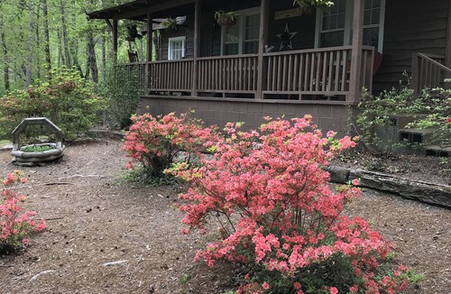 Lynn Cabin | Cabin at Lake Lanier