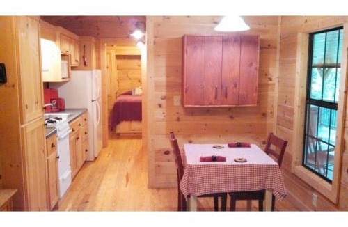 Hendersonville House | Cabin in the Woods-Peaceful 1BR 20-Acre Rural Retreat-HotTub&WiFi near Asheville