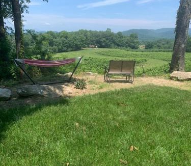 Hendersonville Villa | Cabin on Gold Mine Hill