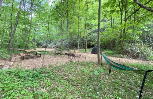 Zirconia RV Rental | Campsite 2 - Creekside on 38 acres- biking and hiking trails