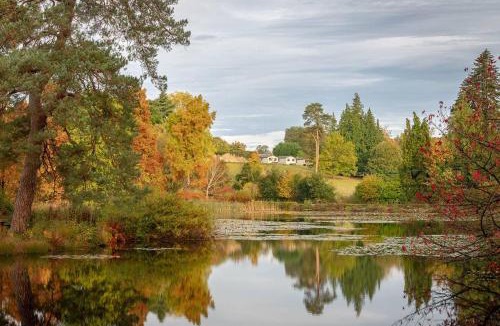 Cranbrook House | Cedar Cabin Overlooking Bedgebury Forest