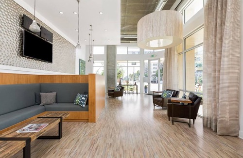 Charlotte Apartment | Charming 1-bedroom unit - steps from restaurants, entertainment and light rail