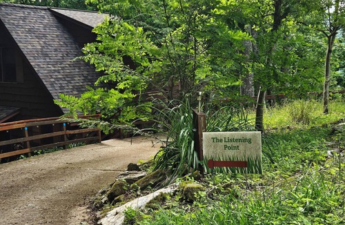 Topton Cabin | Charming 2-bedroom cabin in Topton