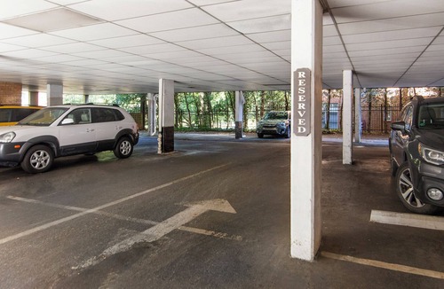 Charlotte Condo | Charming 2-bedroom condo in Midtown Charlotte, in Myers Park