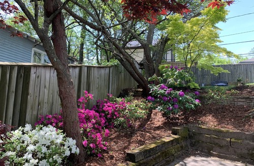 East End - Valley Street House | Charming 3 BR House in Downtown