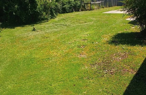 Piney Green House | Charming 4-bedroom house with AC, WiFi in lovely Jacksonville