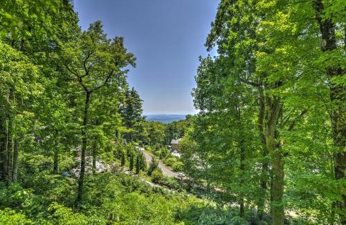 Little Switzerland House | Charming Blue Ridge Cottage with Stunning Views!